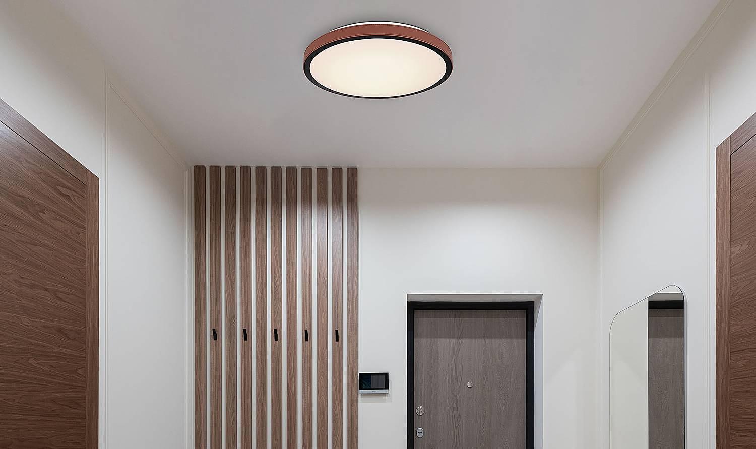 Sammi Ceiling Lamp Aluminum Acrylic Glass 1-light 42cm 2