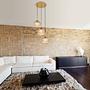 Jamessa pendant light tinted glass iron 3-light 2