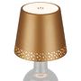 1-Flaming LED bottle light Bairros Aluminum Gold 1