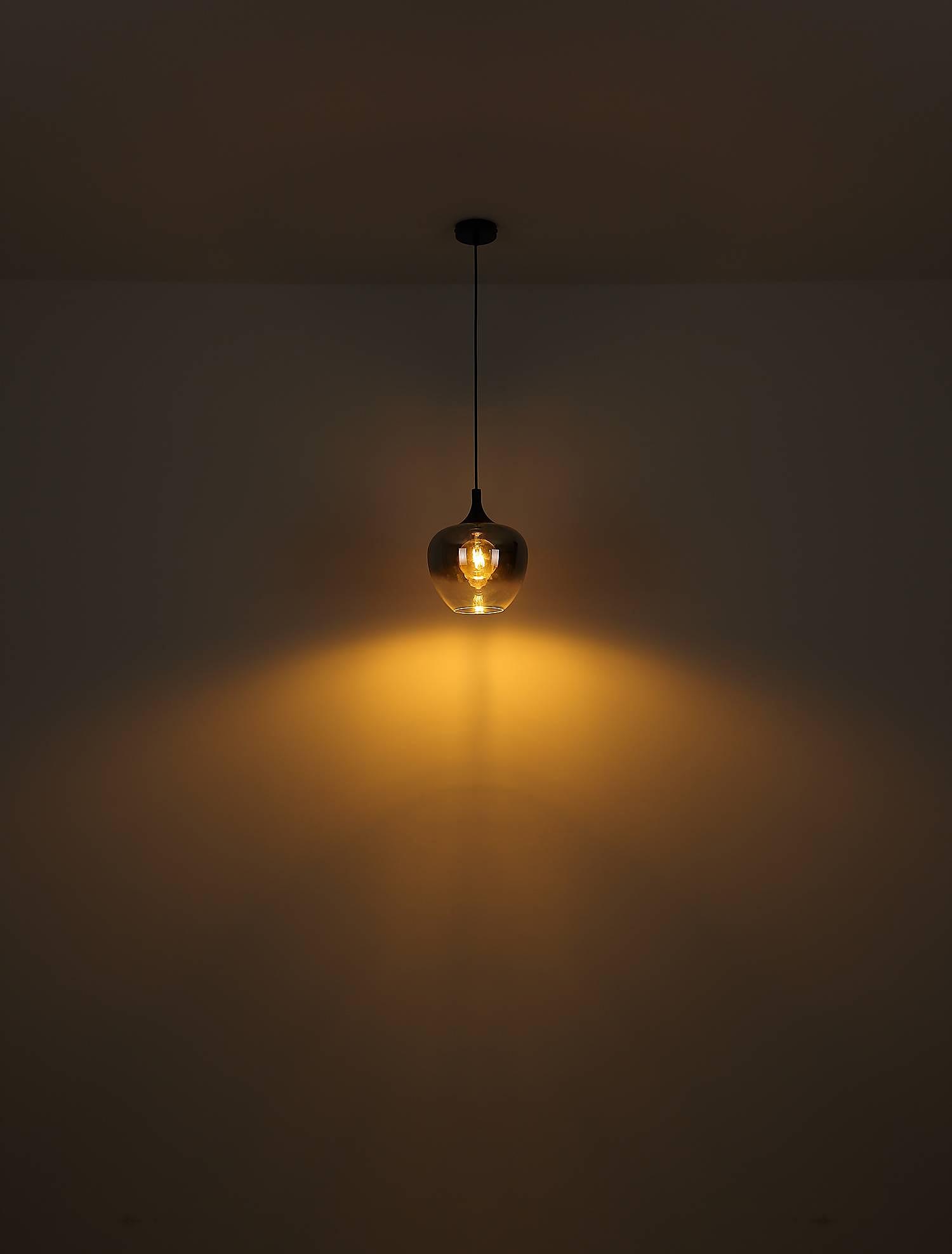 Pendant lamp Maxy Type B Black Ø 29cm 3