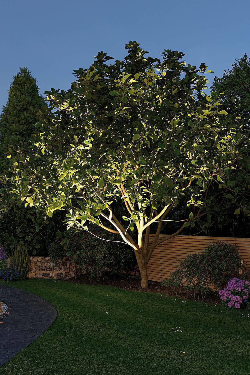 Recessed luminaire Plug & Shine Arma Silver 3