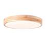LED ceiling light 1-flame acrylic glass metal 2