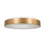 LED Ceiling light 1-flame Acrylic glass Metal 1