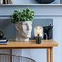 Ninjo Table Lamp Colored Glass Iron 1-light 1