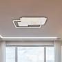 Roderick Type C Ceiling Light Iron Acrylic Glass 1-light 1