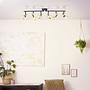 Kerry Ceiling Light Iron 6-Light 1