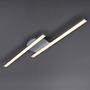 Go LED ceiling light iron 2-flame 1