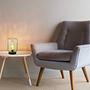 Darina Table Lamp Frosted Glass Iron 1-Light 1