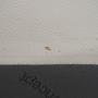 Bergamo Corner Sofa Salto-Leather 096 Snow White 5