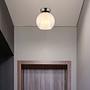 Barry Type D Ceiling Lamp Opal Glass Iron 1-Light 1