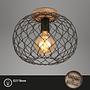 Winki Ceiling Light Iron Rubber Tree 1-Light 2