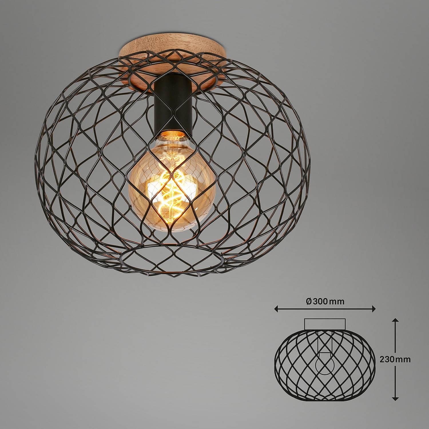 Winki Ceiling Light Iron Rubber Tree 1-Light 3