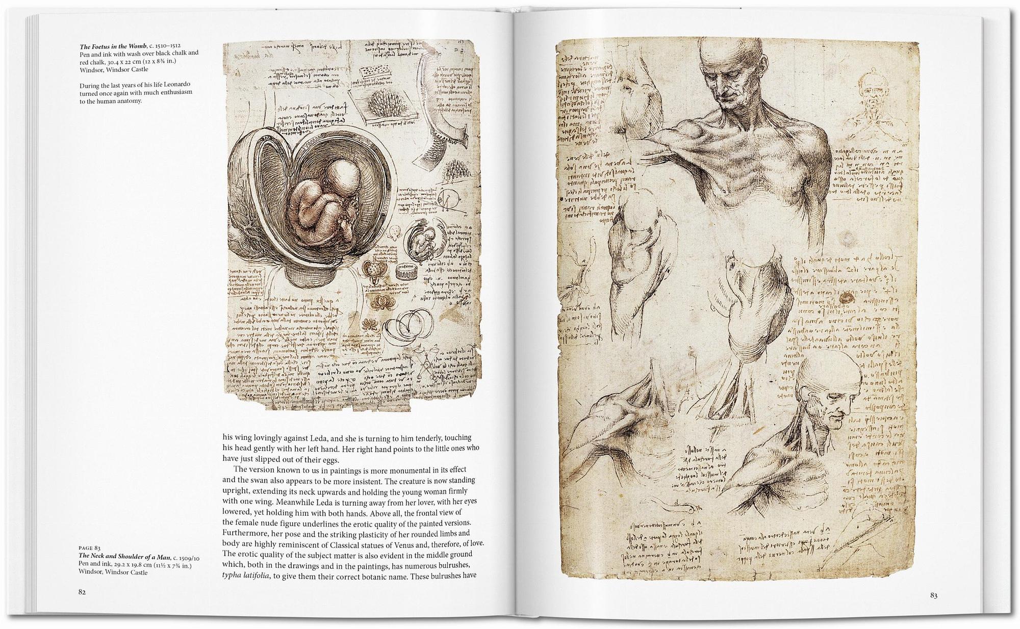 Leonardo Book 6