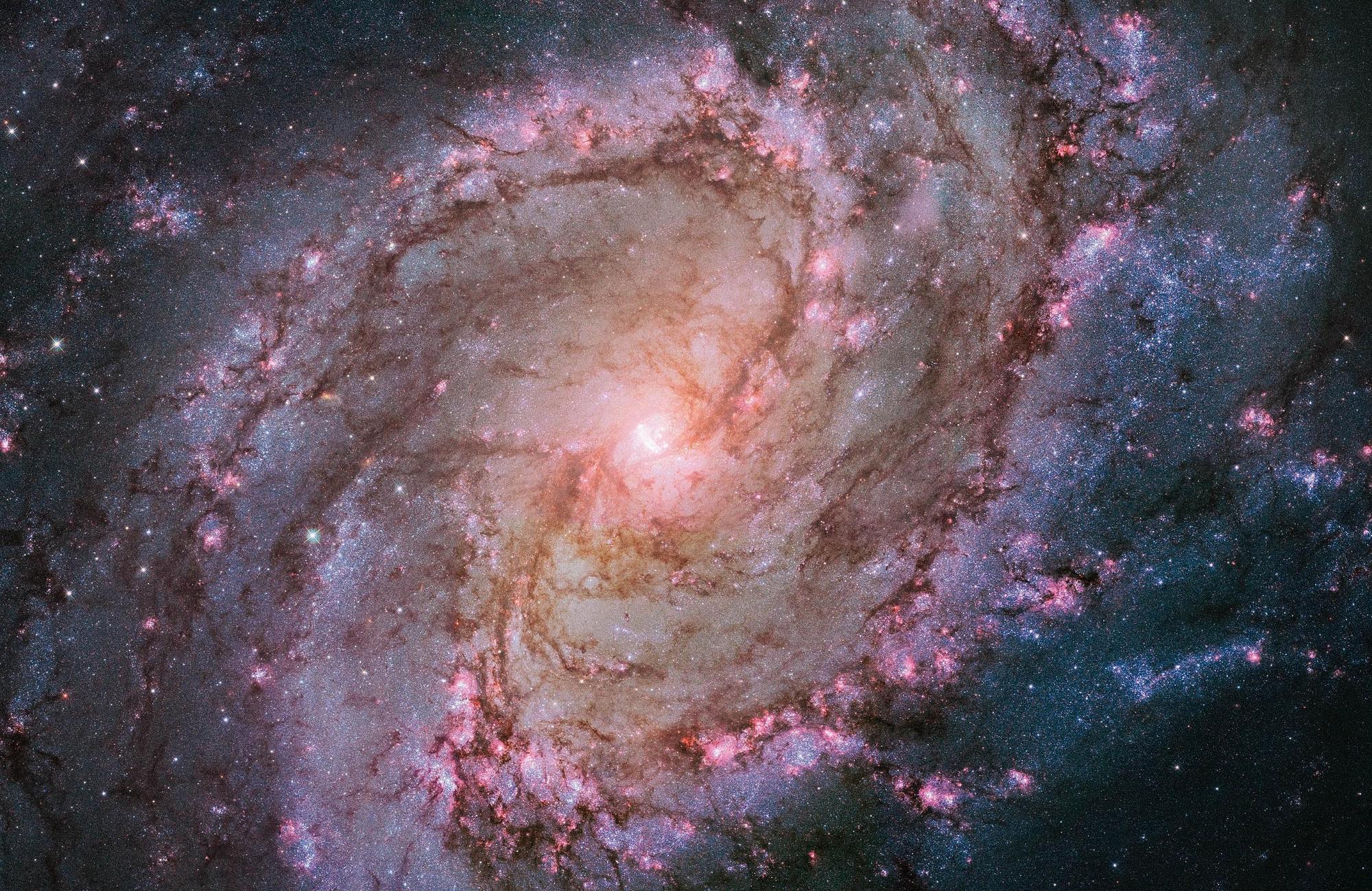 Expanding Universe. The Hubble Space Telescope 7