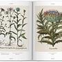 Basilius Besler The Garden of Eichstätt Hortus Eystettensis 5