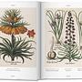 Basilius Besler The Garden of Eichstätt Hortus Eystettensis 4