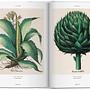 Basilius Besler The Garden of Eichstätt Hortus Eystettensis 7