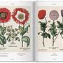 Basilius Besler The Garden of Eichstätt Hortus Eystettensis 6