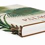 Martius. The Book of Palms 1