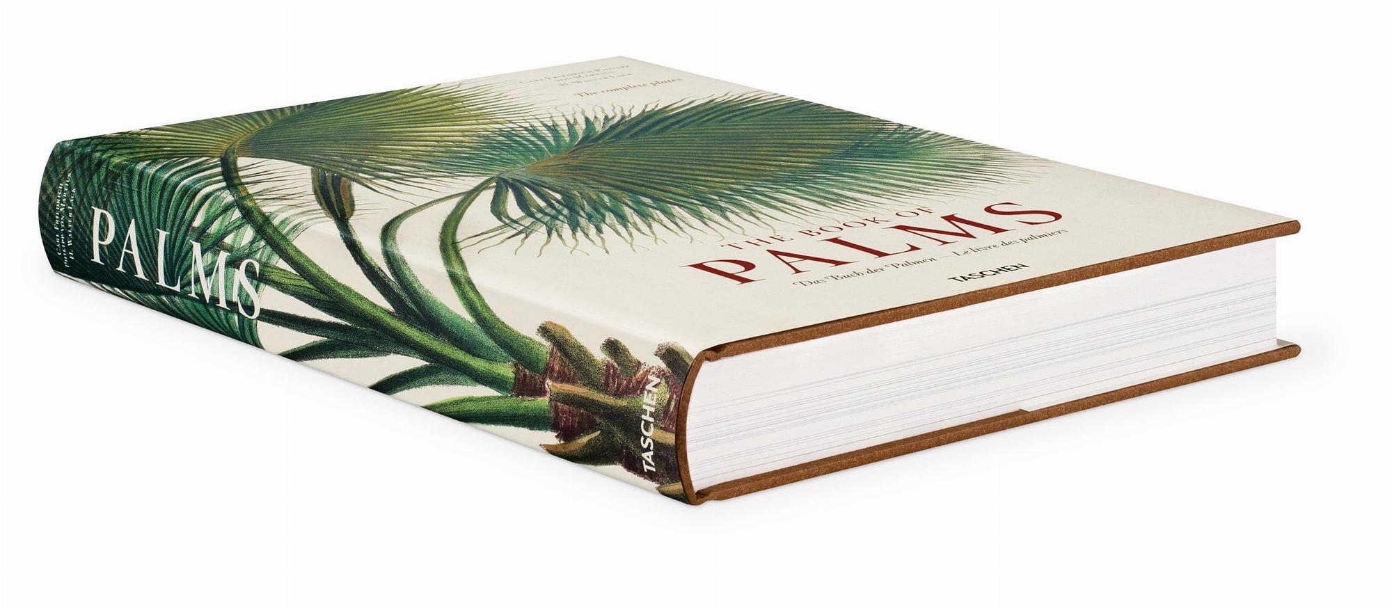 Martius. The Book of Palms 1