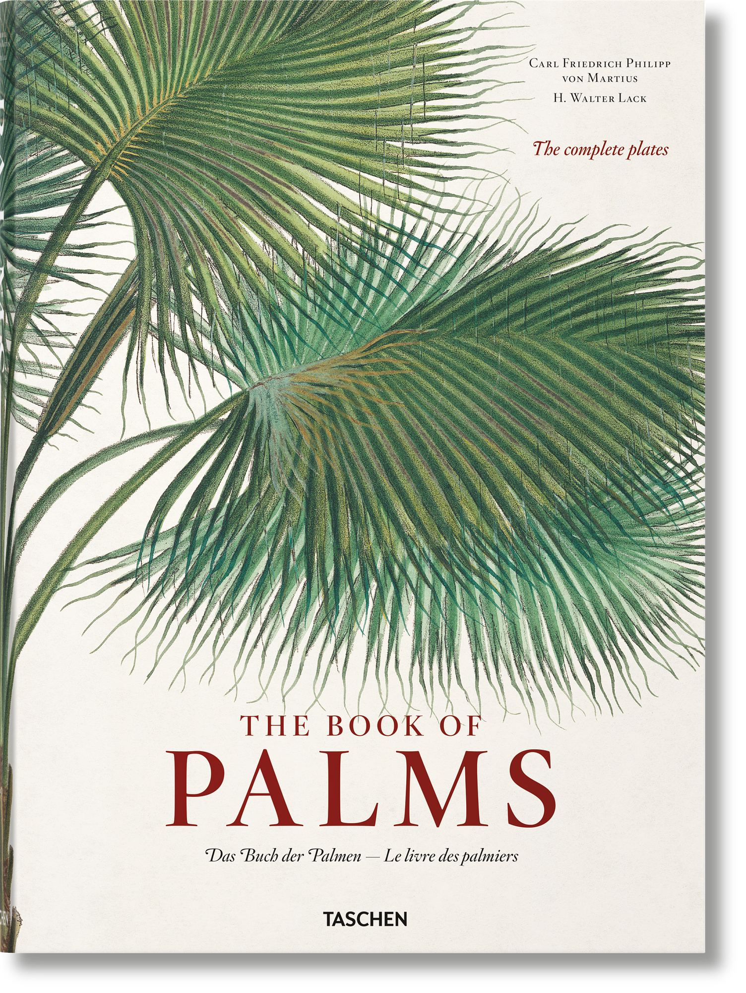 Martius. The Book of Palms 0