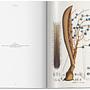 Martius. The Book of Palms 7