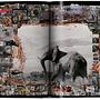 Peter Beard Book 5