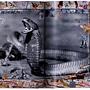Peter Beard Book 6
