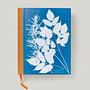 Anna Atkins. Cyanotypes 5