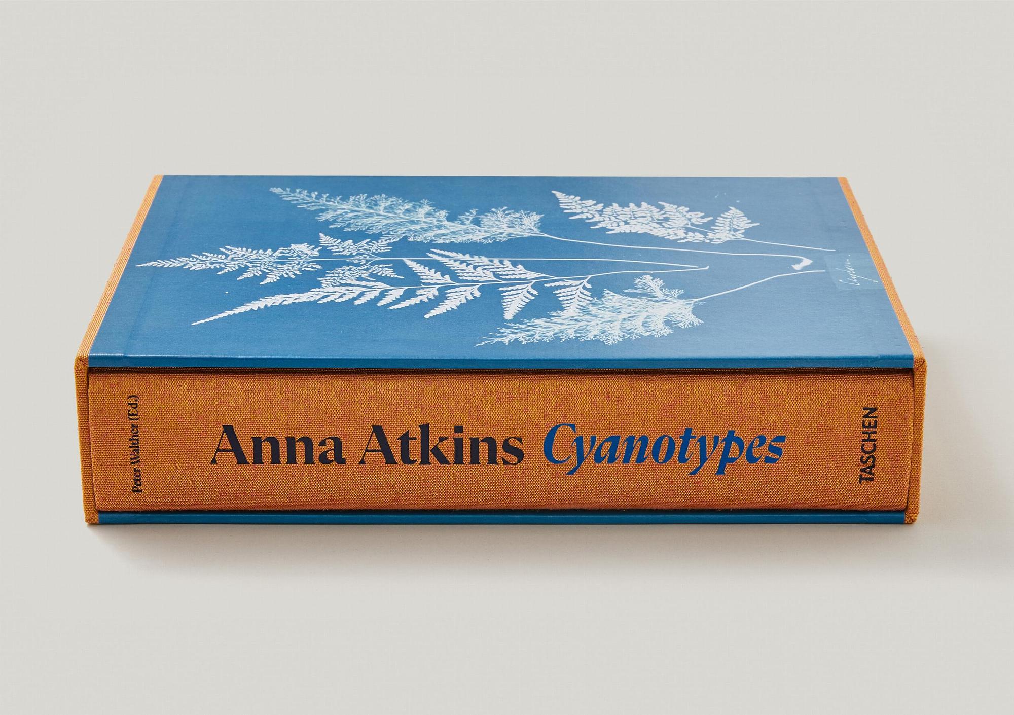 Anna Atkins. Cyanotypes 4