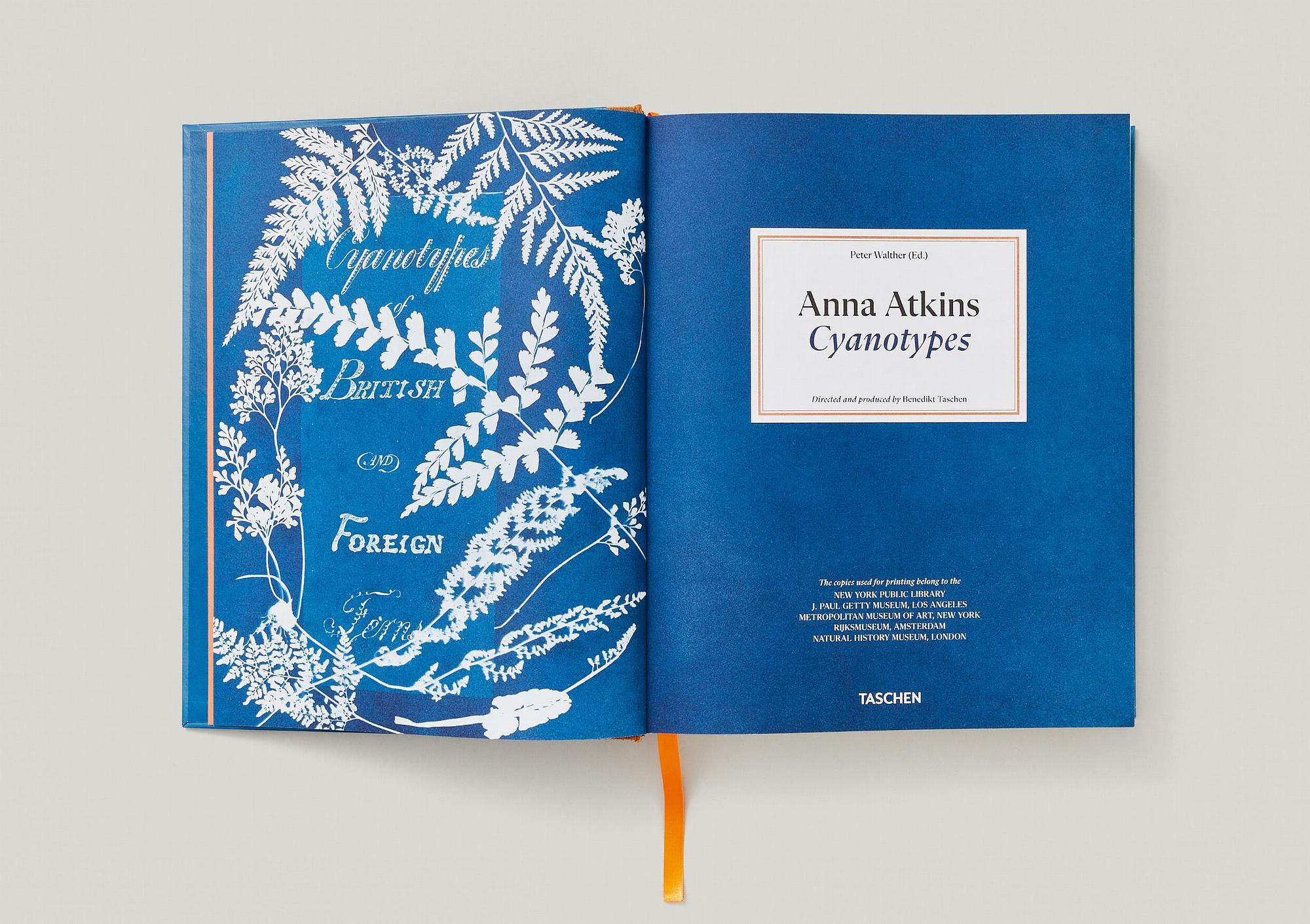 Anna Atkins. Cyanotypes 9