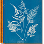 Anna Atkins. Cyanotypes 0