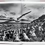 Sebastião Salgado. Genesis 5
