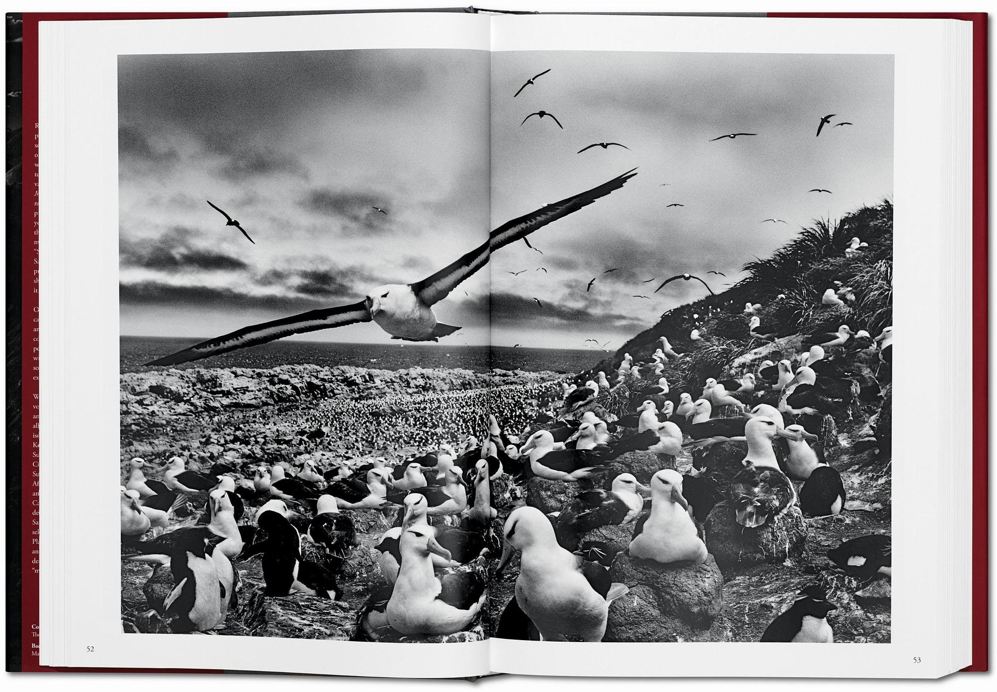 Sebastião Salgado. Genesis 5