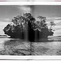Sebastião Salgado. Genesi 6