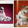 Walter Chandoha. Dogs. Photographs 1941–1991 6