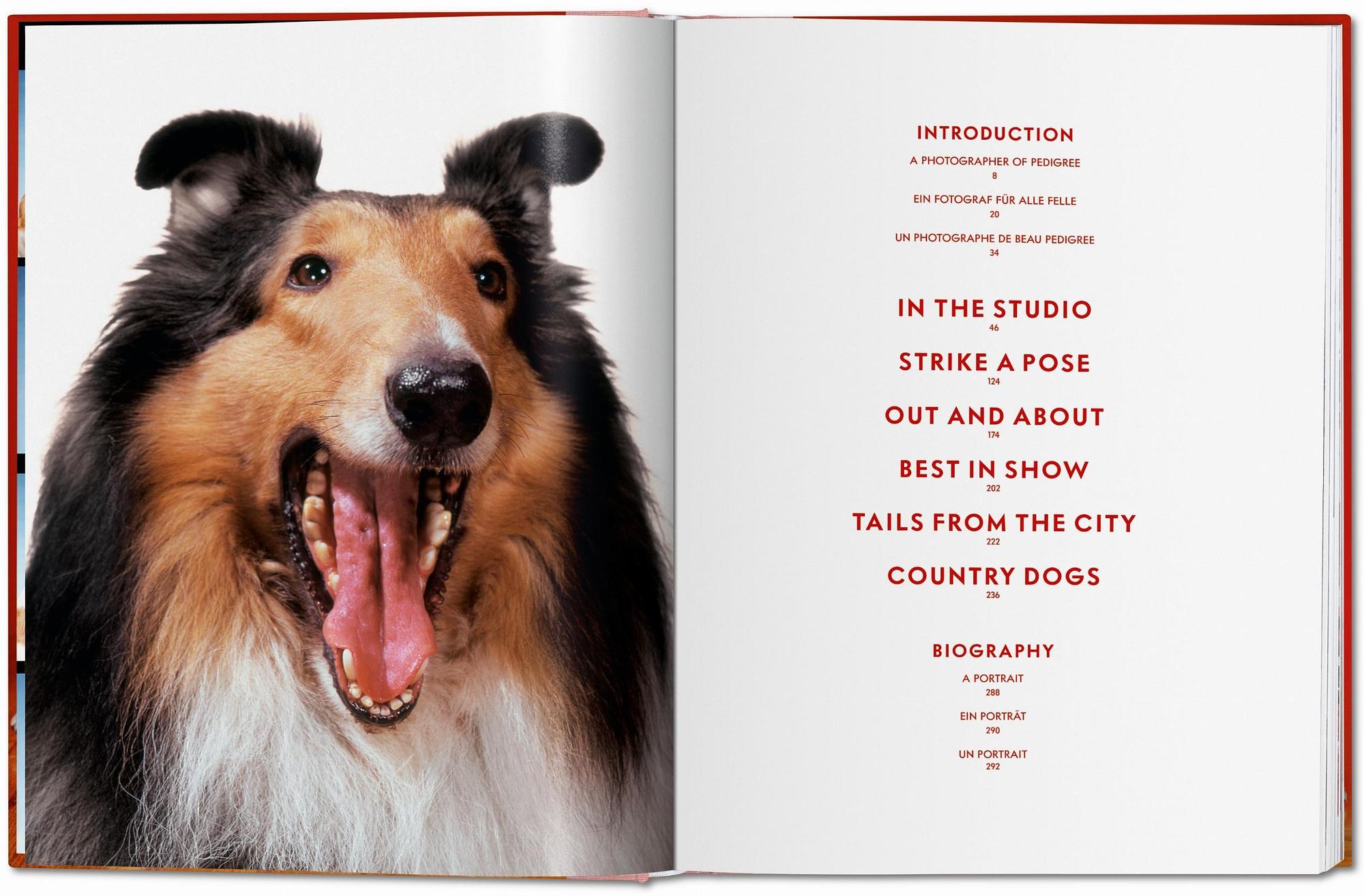 Walter Chandoha. Dogs. Photographs 1941–1991 2