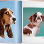 Walter Chandoha. Dogs. Photographs 1941–1991 3