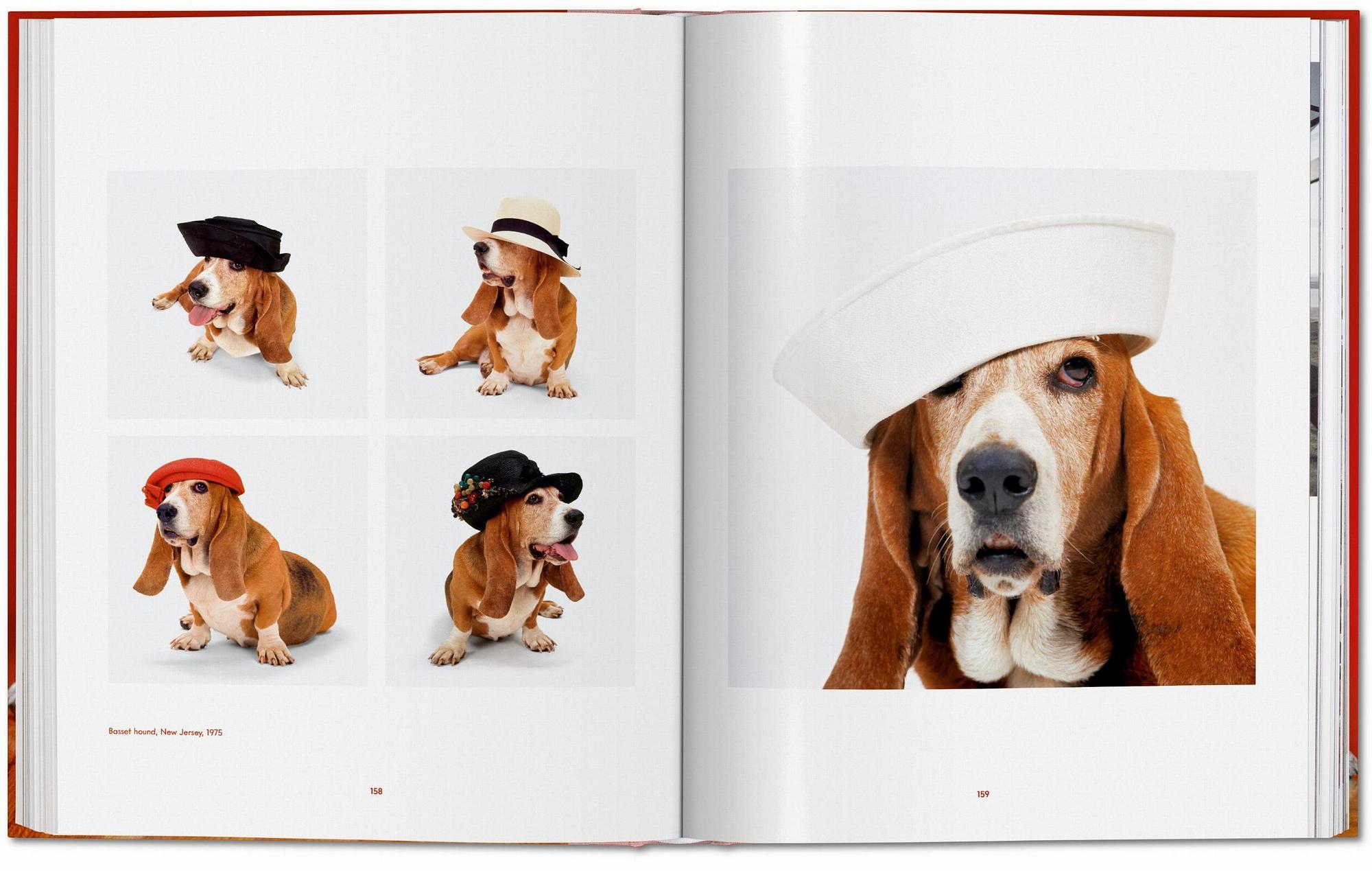 Walter Chandoha. Dogs. Photographs 1941–1991 8