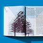 Koolhaas. Elementi di Architettura 8