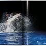 Michael Muller. Sharks 8