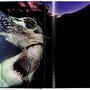 Michael Muller. Sharks 9