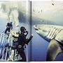 Michael Muller. Sharks 2