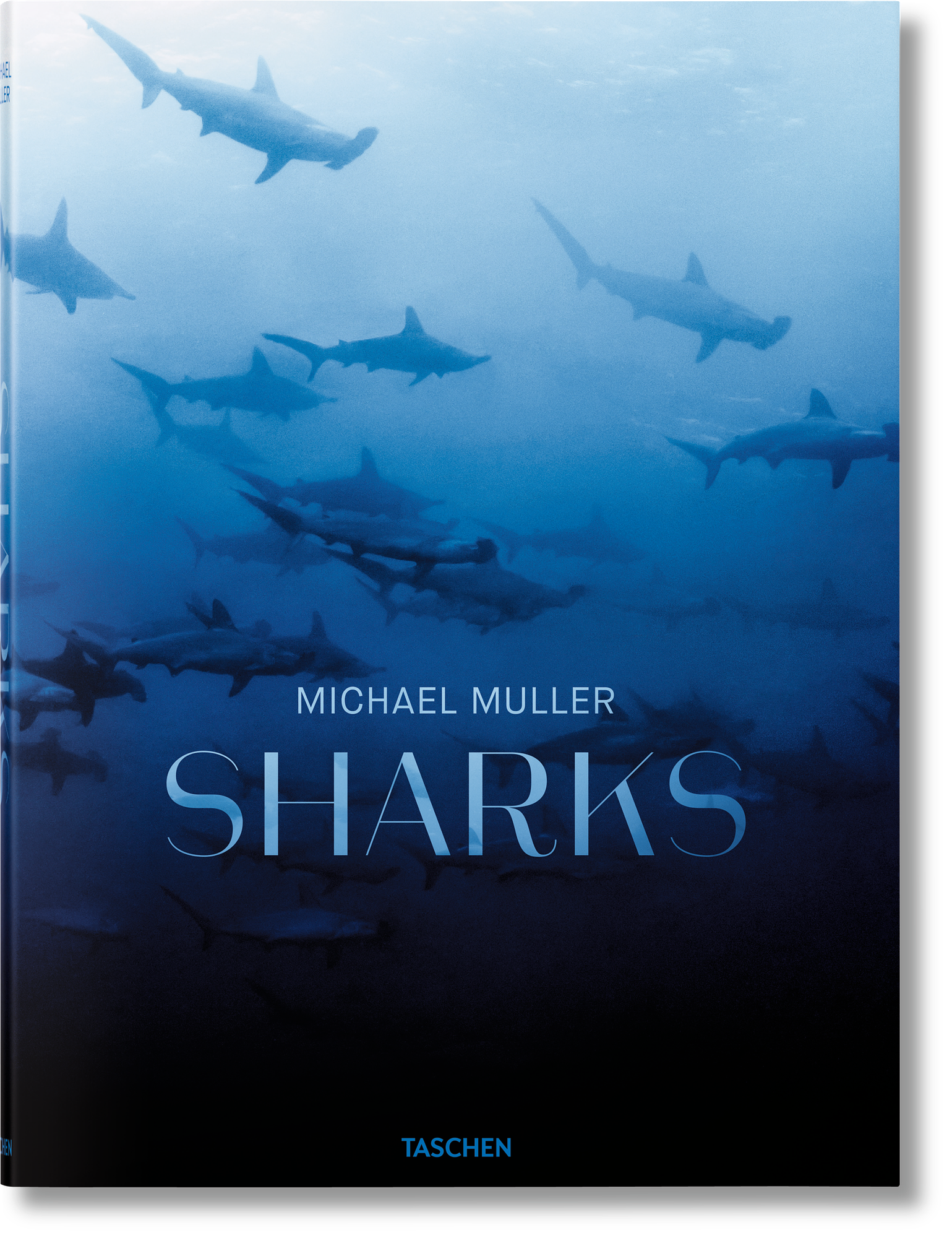 Michael Muller. Sharks 0