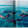 Michael Muller. Sharks 6