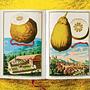 J. C. Volkamer. The Book of Citrus Fruits 9