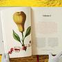 J. C. Volkamer. The Book of Citrus Fruits 4