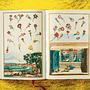 J. C. Volkamer. The Book of Citrus Fruits 7