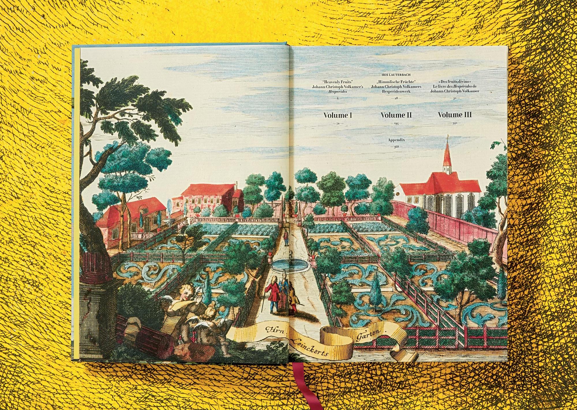 J. C. Volkamer. The Book of Citrus Fruits 3