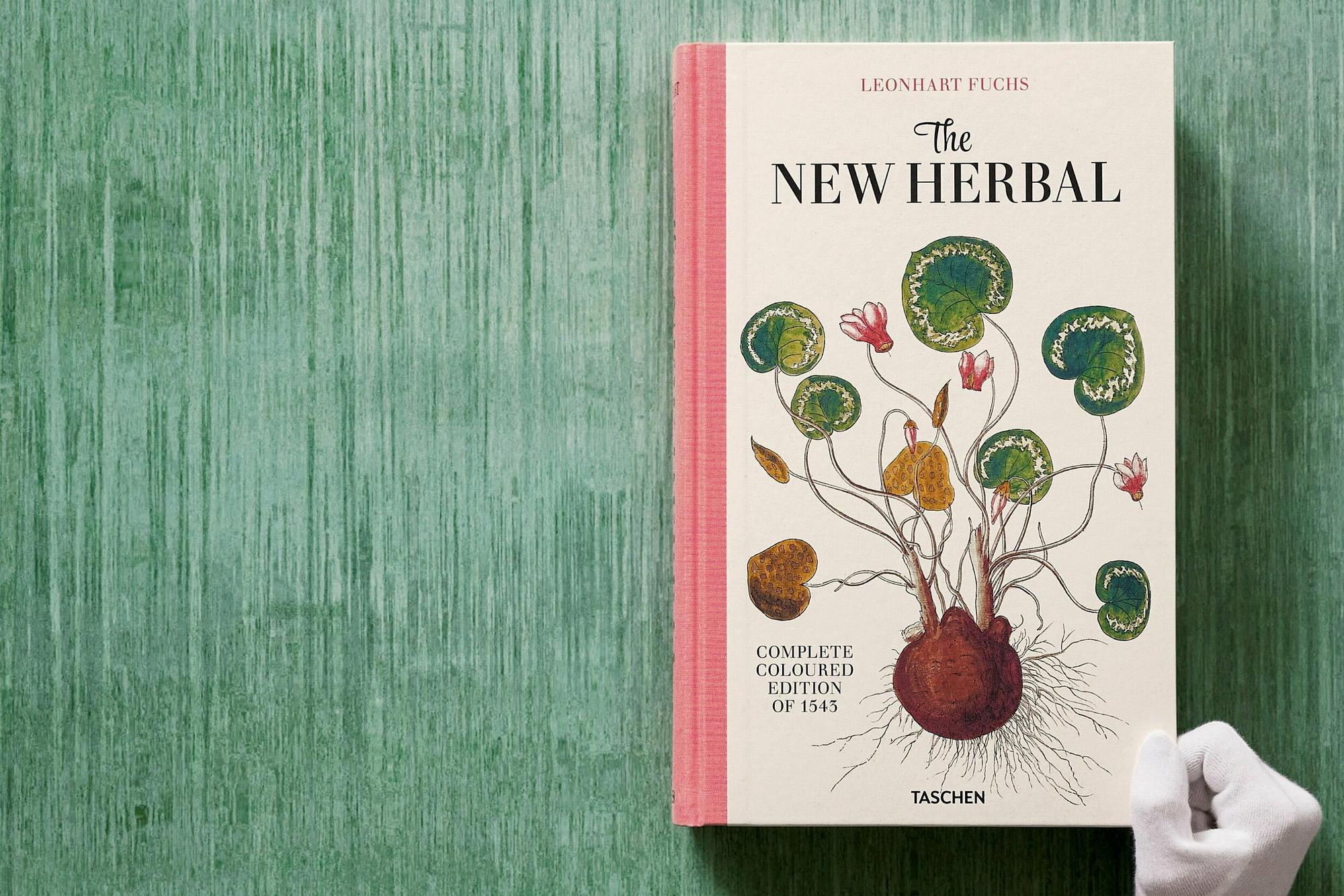 Leonhart Fuchs. The New Herbal 5